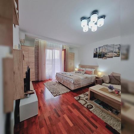 Apartman Temida Lux Vrnjačka Banja エクステリア 写真