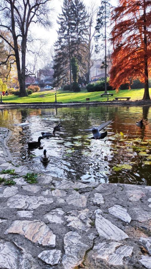 Apartman Temida Lux Vrnjačka Banja エクステリア 写真