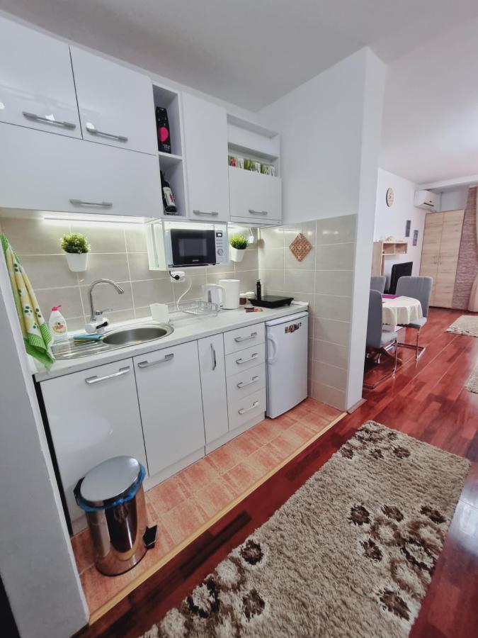 Apartman Temida Lux Vrnjačka Banja エクステリア 写真