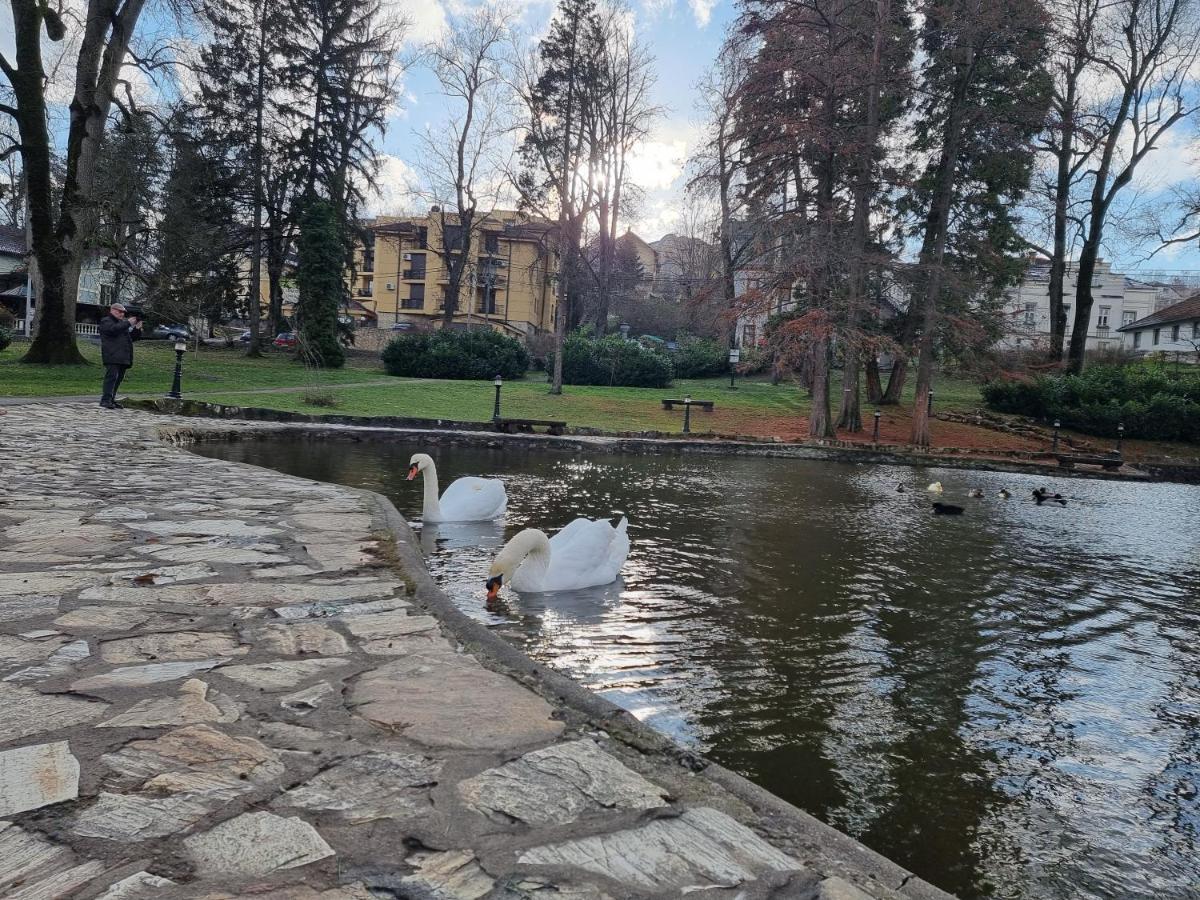 Apartman Temida Lux Vrnjačka Banja エクステリア 写真