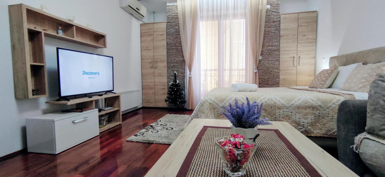 Apartman Temida Lux Vrnjačka Banja エクステリア 写真