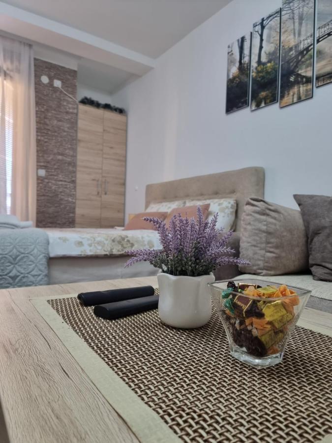 Apartman Temida Lux Vrnjačka Banja エクステリア 写真